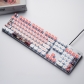 Logitech OEM 104+18 Clear PC+PBT Dye-subbed Pudding Jelly Keycaps Set Mechanical Gaming Keyboard CSGO